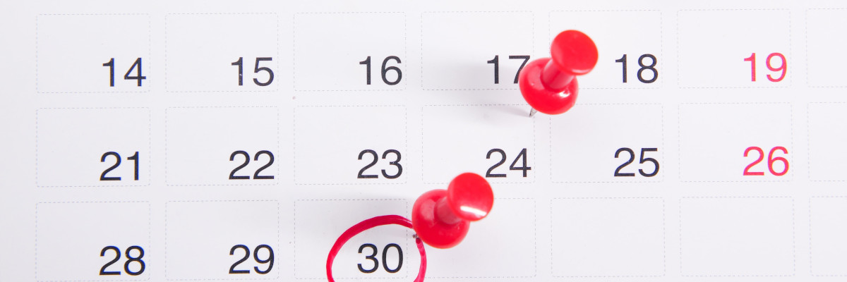 Belegung von Ferienwohnungen, Hotelzimmern, Konferenzräumen etc. planen